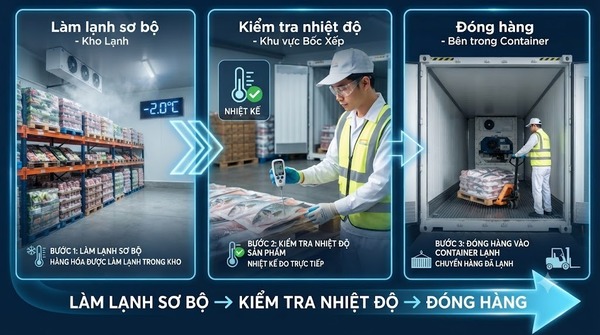 Chuẩn bị và làm lạnh sơ bộ hàng trước khi đóng container lạnh