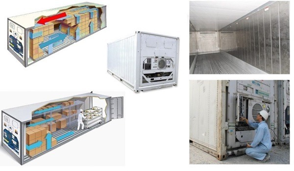 Hi-Tech Container cung cấp giải pháp container lạnh phù hợp nhu cầu lưu trữ
